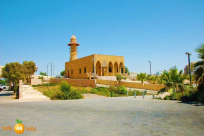 أسماء خطباء المساجد في يافا اللد والرملة لهذا الأسبوع